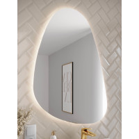 Badezimmer Spiegel RETRO nierenförmig 100x57cm | mit LE
