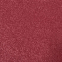 Zweisitzer-Sofa Kunstleder 110cm | weinrot 7