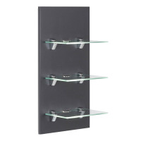 Wandregal mit Glasböden 30 x 68cm | gallery